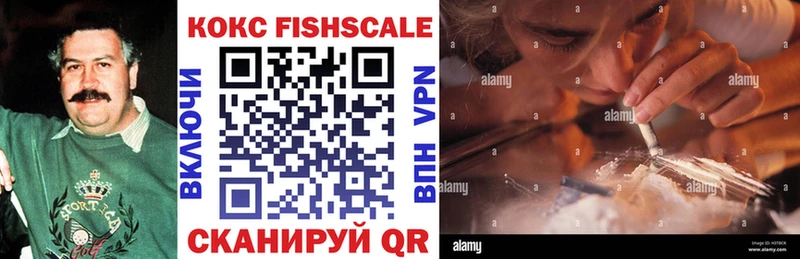 Кокаин FishScale  Купить закладки  Вытегра 